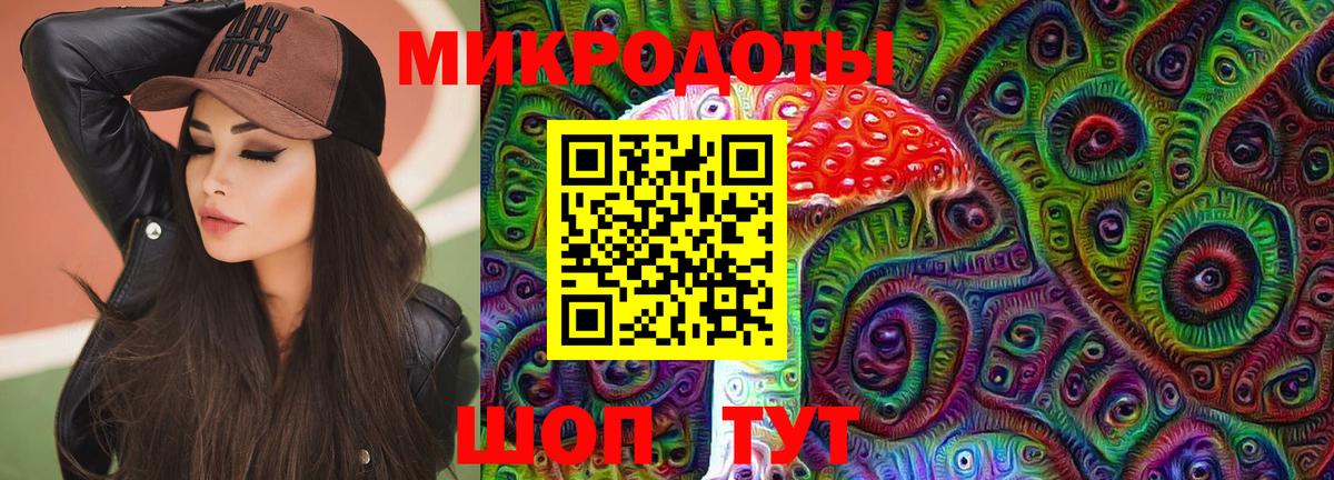 Галлюциногенные грибы Psilocybine cubensis Белогорск